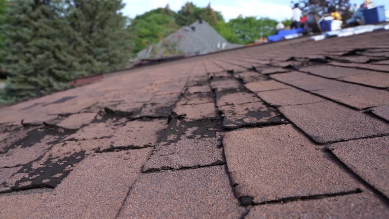 Best Emergency Roof Repair  in USA
